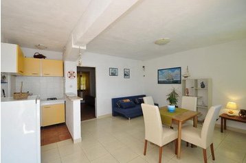 Horvātija Privát Sućuraj, Eksterjers